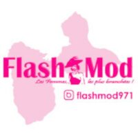 FLASHMOD