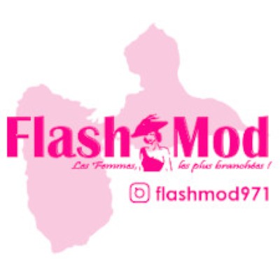 FLASHMOD